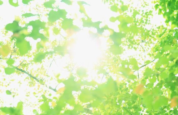 本町，堺筋本町でメンズ脱毛・マッサージをお探しなら、安い，完全予約制サロン。ラヴィアンローズオム本町店！